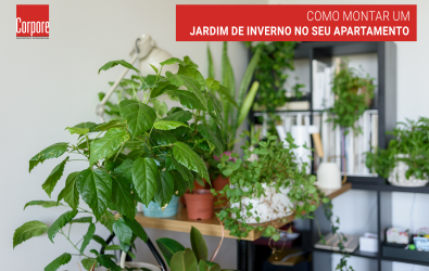 Como montar um jardim de inverno no seu apartamento